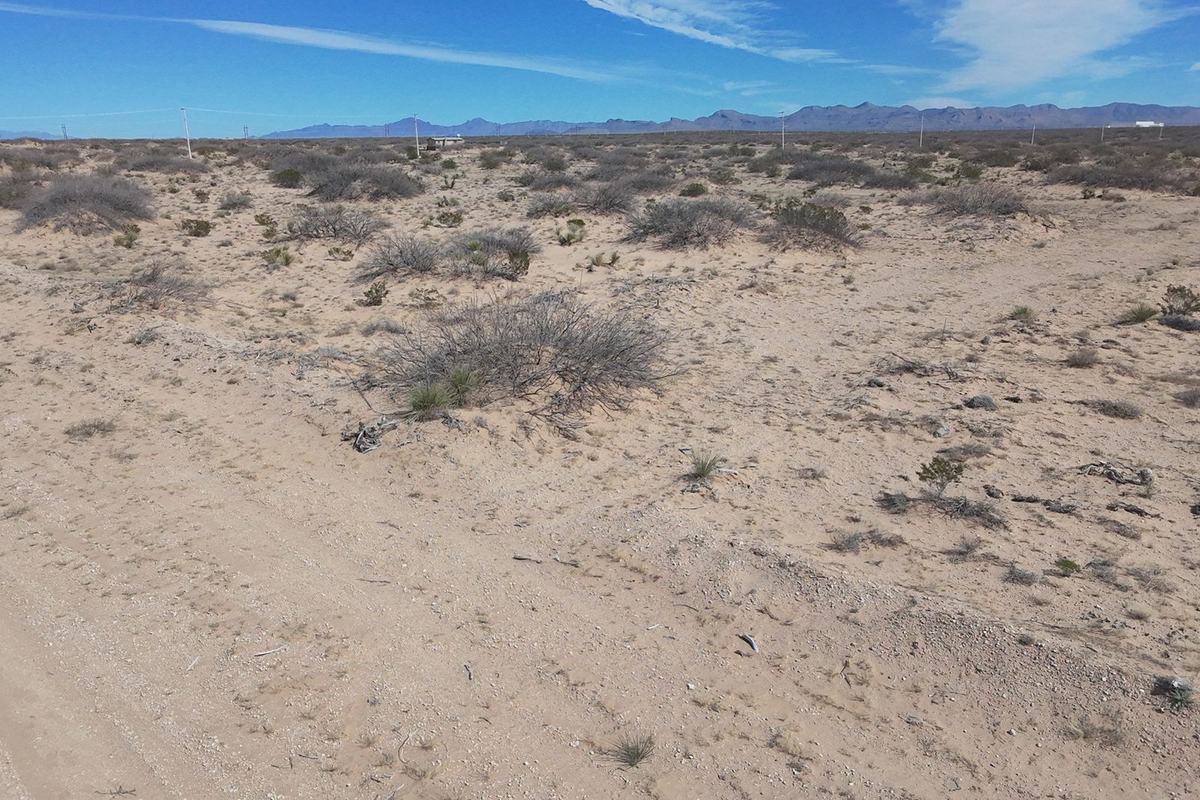 Consultoría ambiental en Sonora: proyecto en campo
