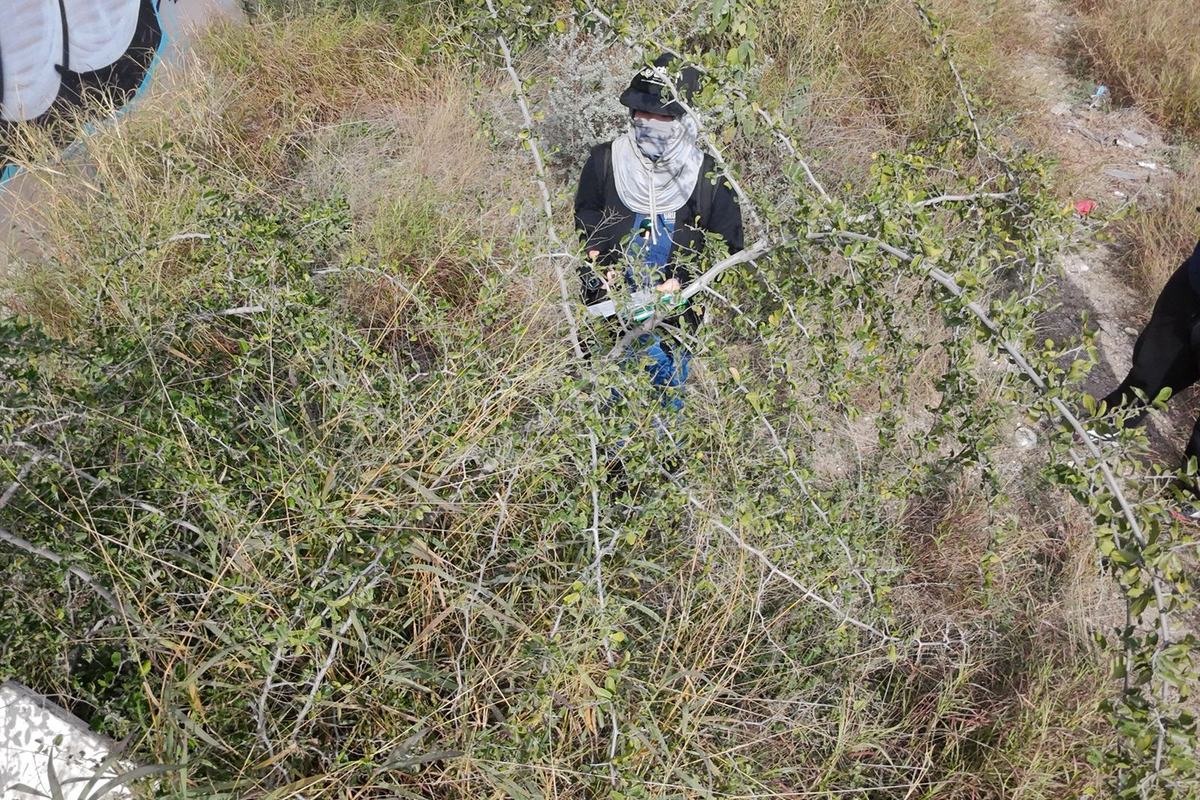 Consultoría ambiental en Baja California Sur: proyecto en campo