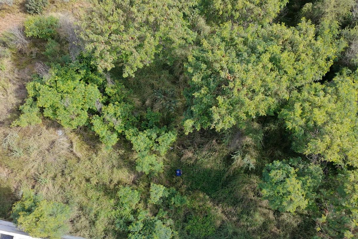 Levantamiento con dron para concesión ZOFEMAT